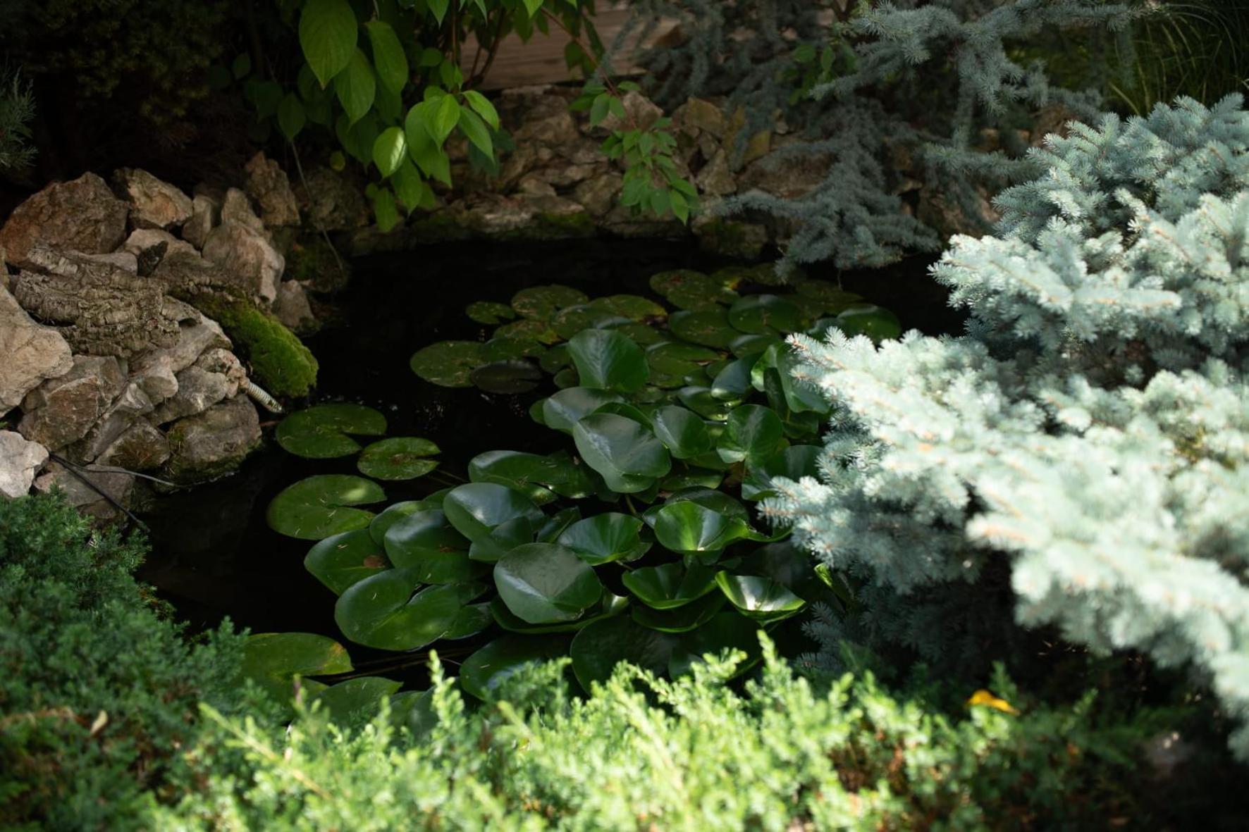 Stupina Otel Braşov Dış mekan fotoğraf