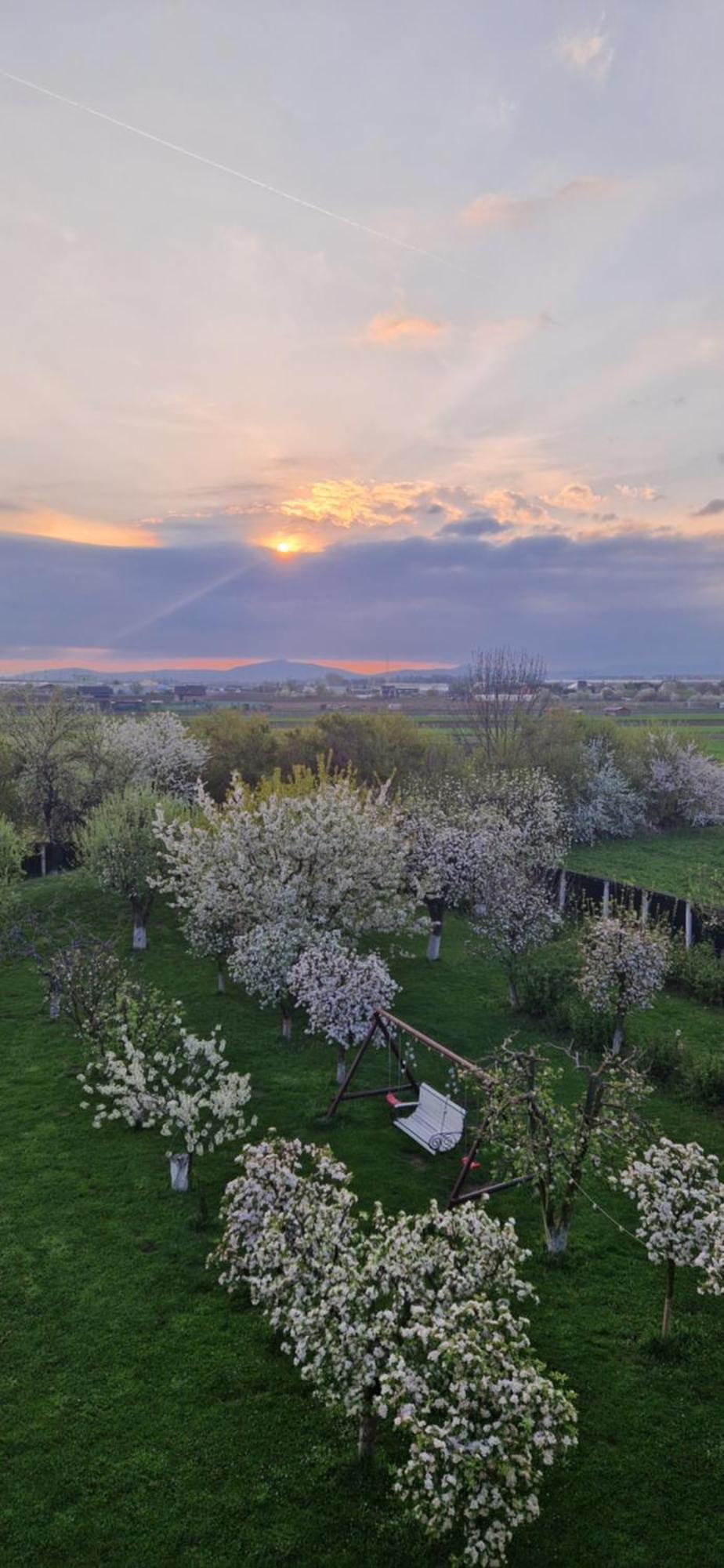 Stupina Otel Braşov Dış mekan fotoğraf