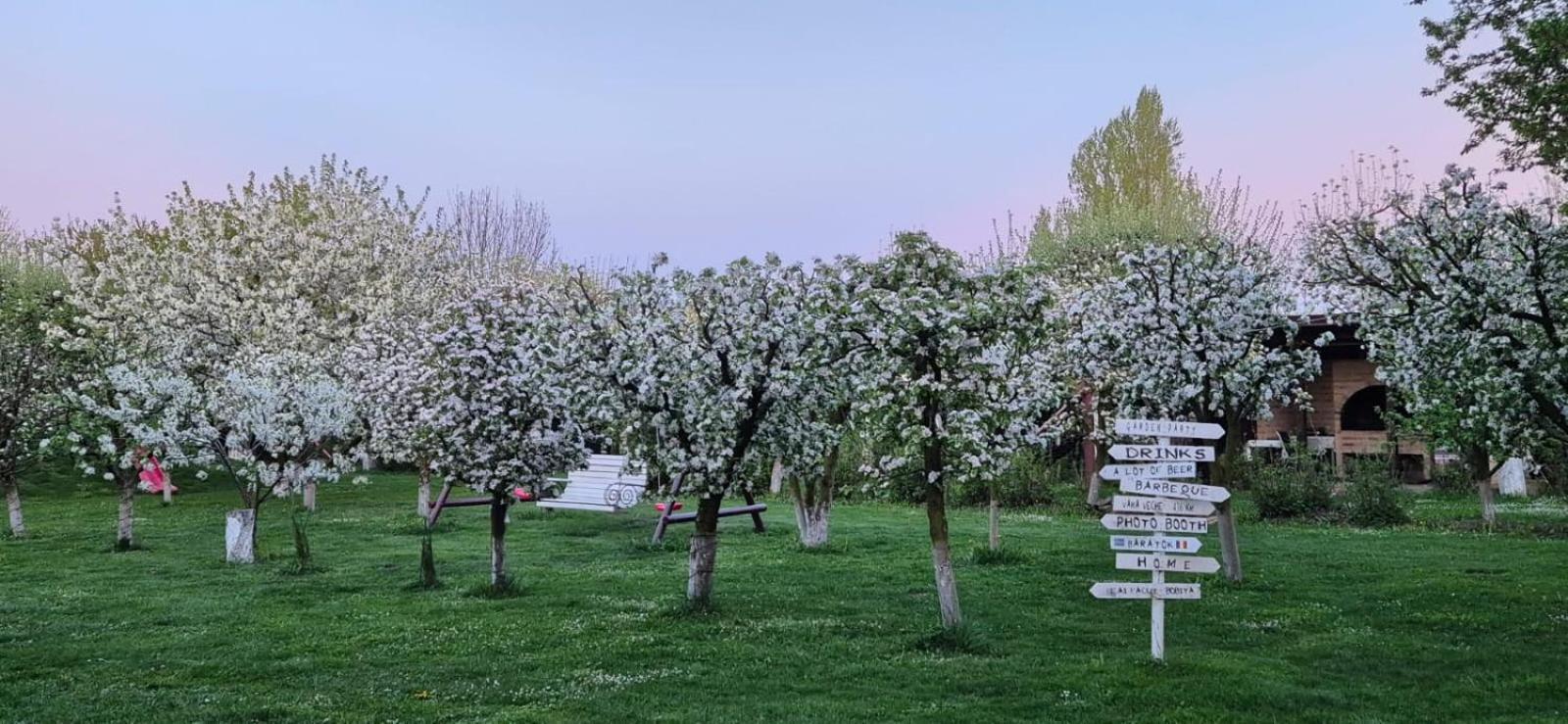 Stupina Otel Braşov Dış mekan fotoğraf