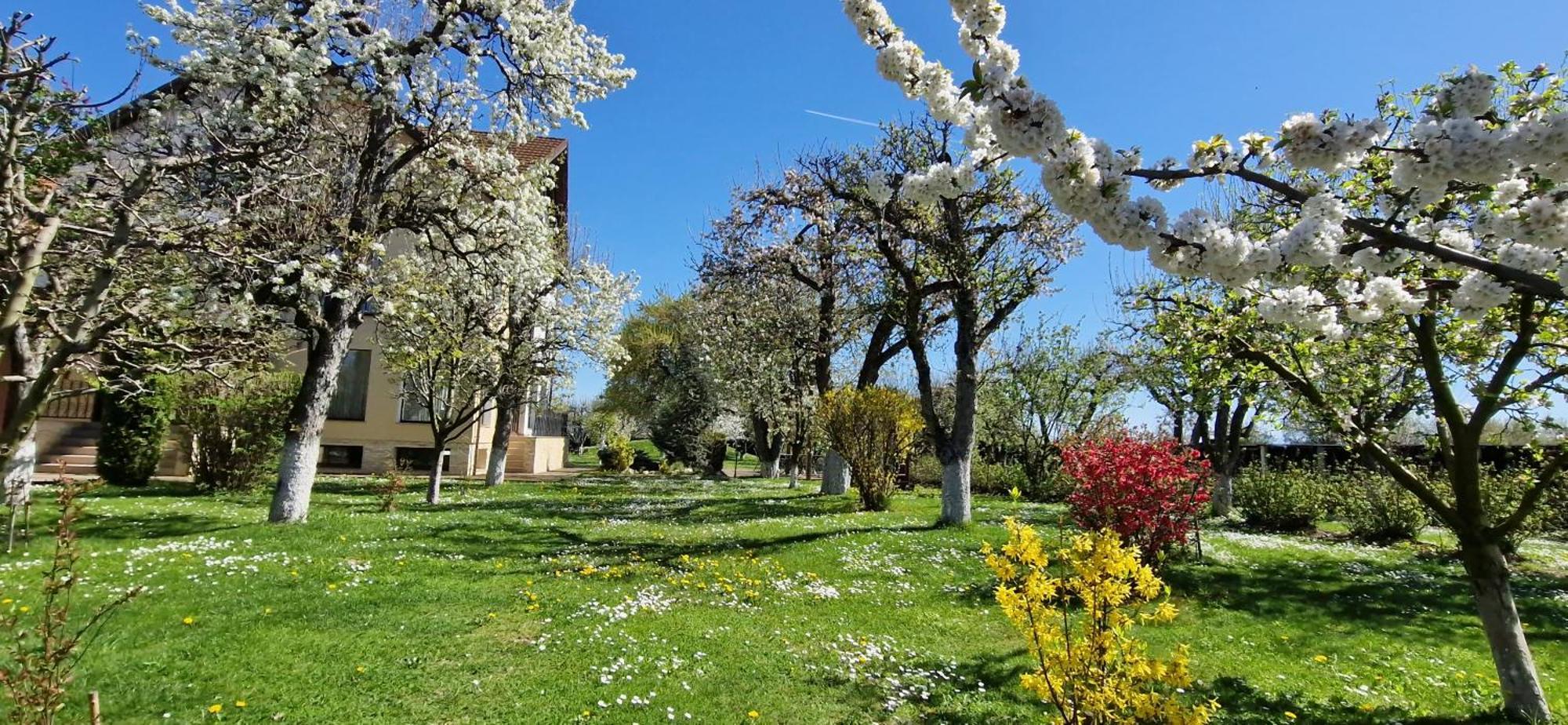 Stupina Otel Braşov Dış mekan fotoğraf