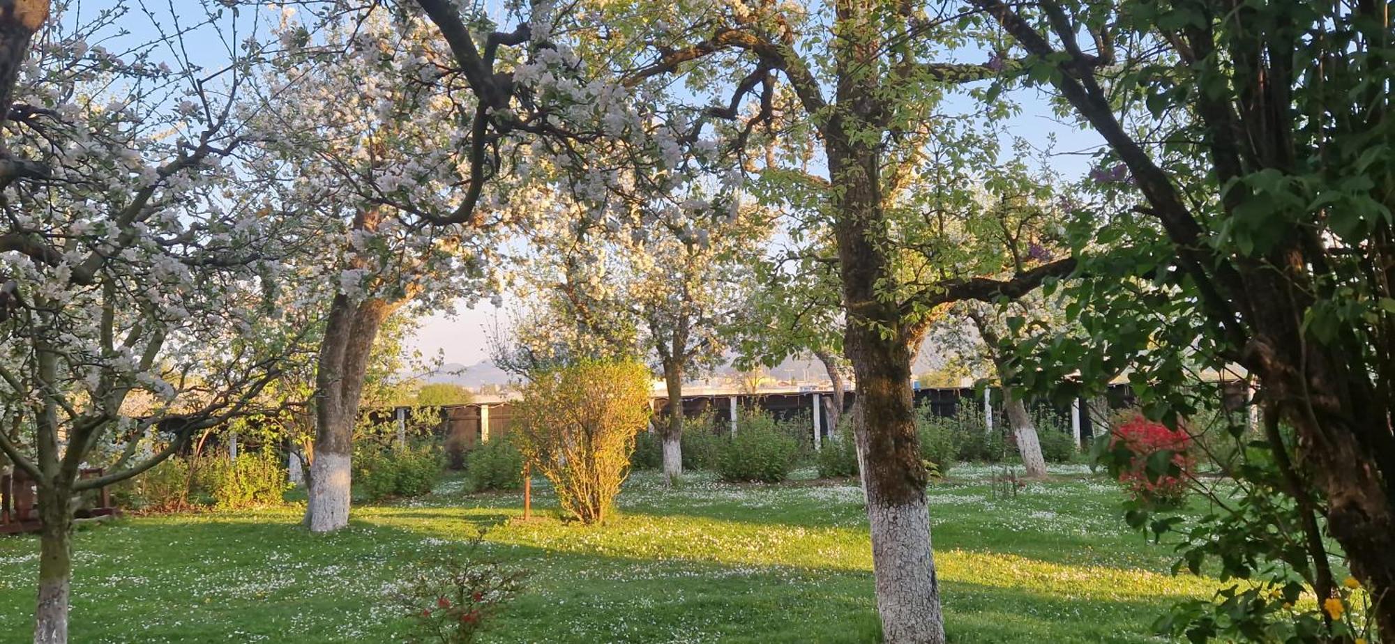 Stupina Otel Braşov Dış mekan fotoğraf