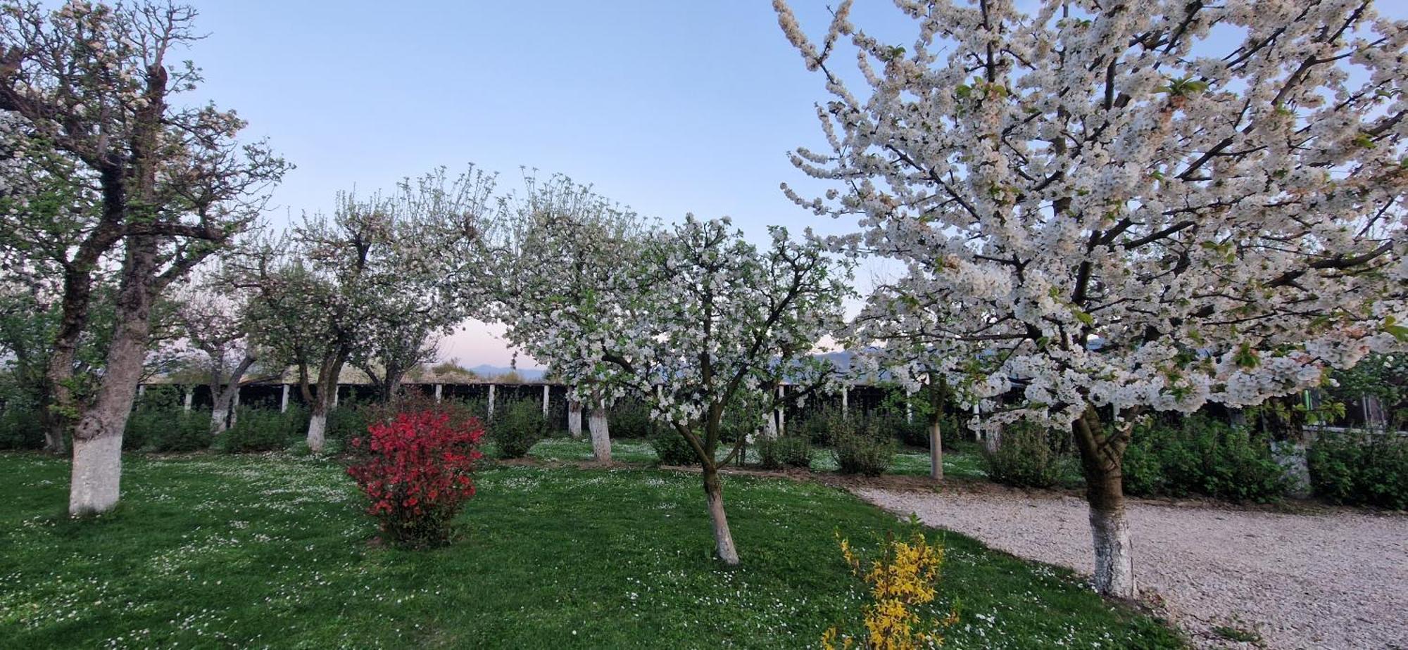 Stupina Otel Braşov Dış mekan fotoğraf
