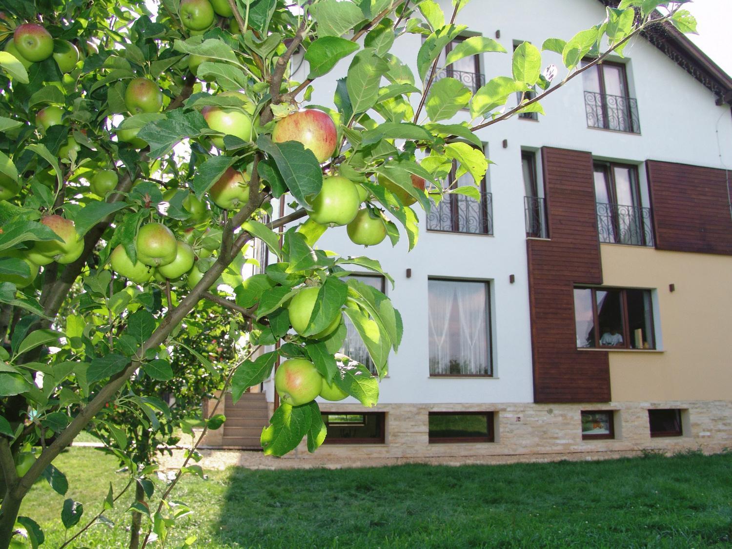 Stupina Otel Braşov Dış mekan fotoğraf