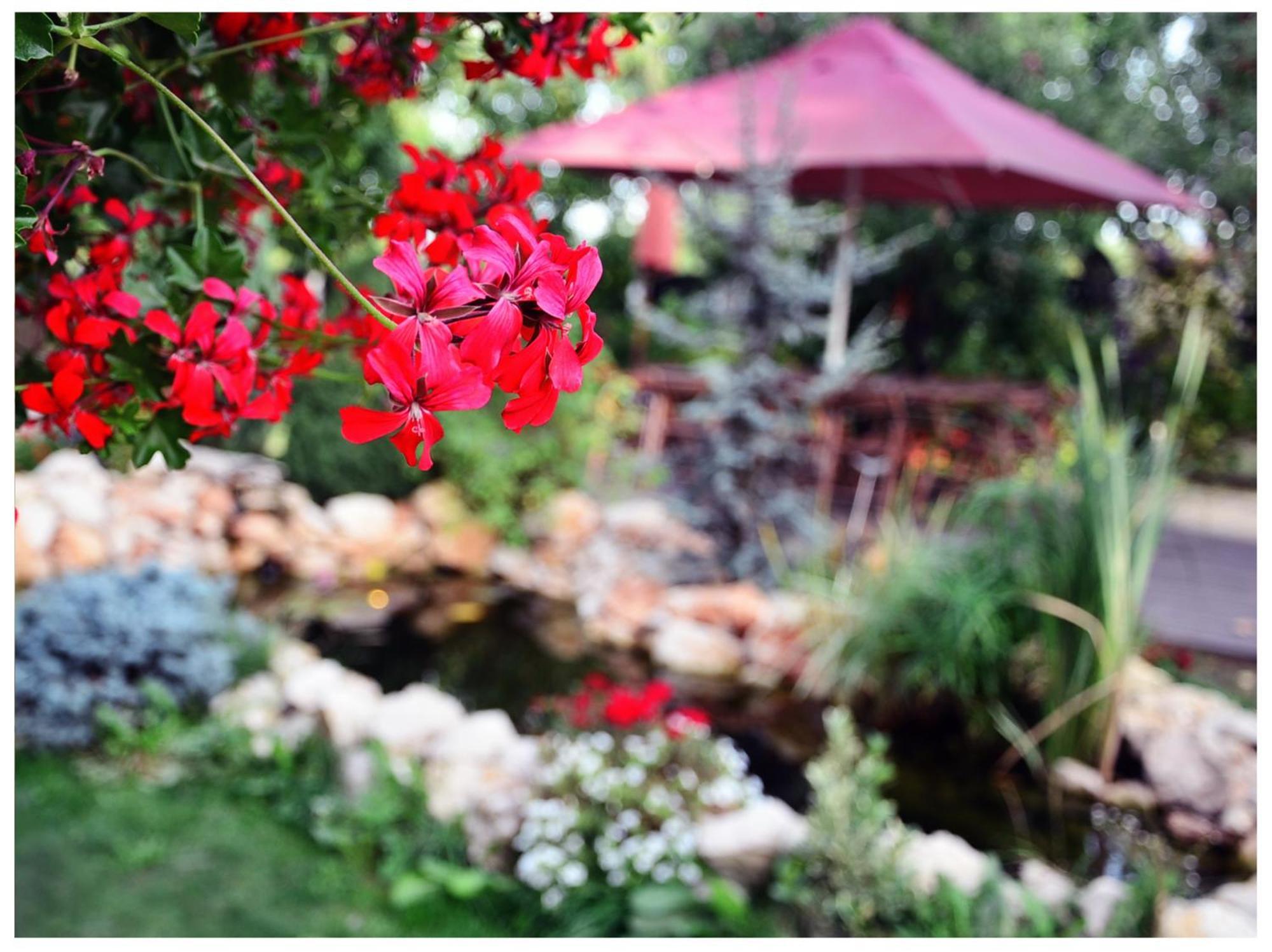 Stupina Otel Braşov Dış mekan fotoğraf