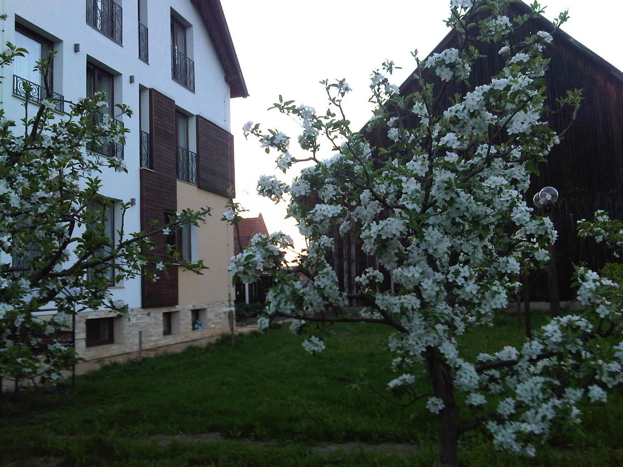 Stupina Otel Braşov Dış mekan fotoğraf
