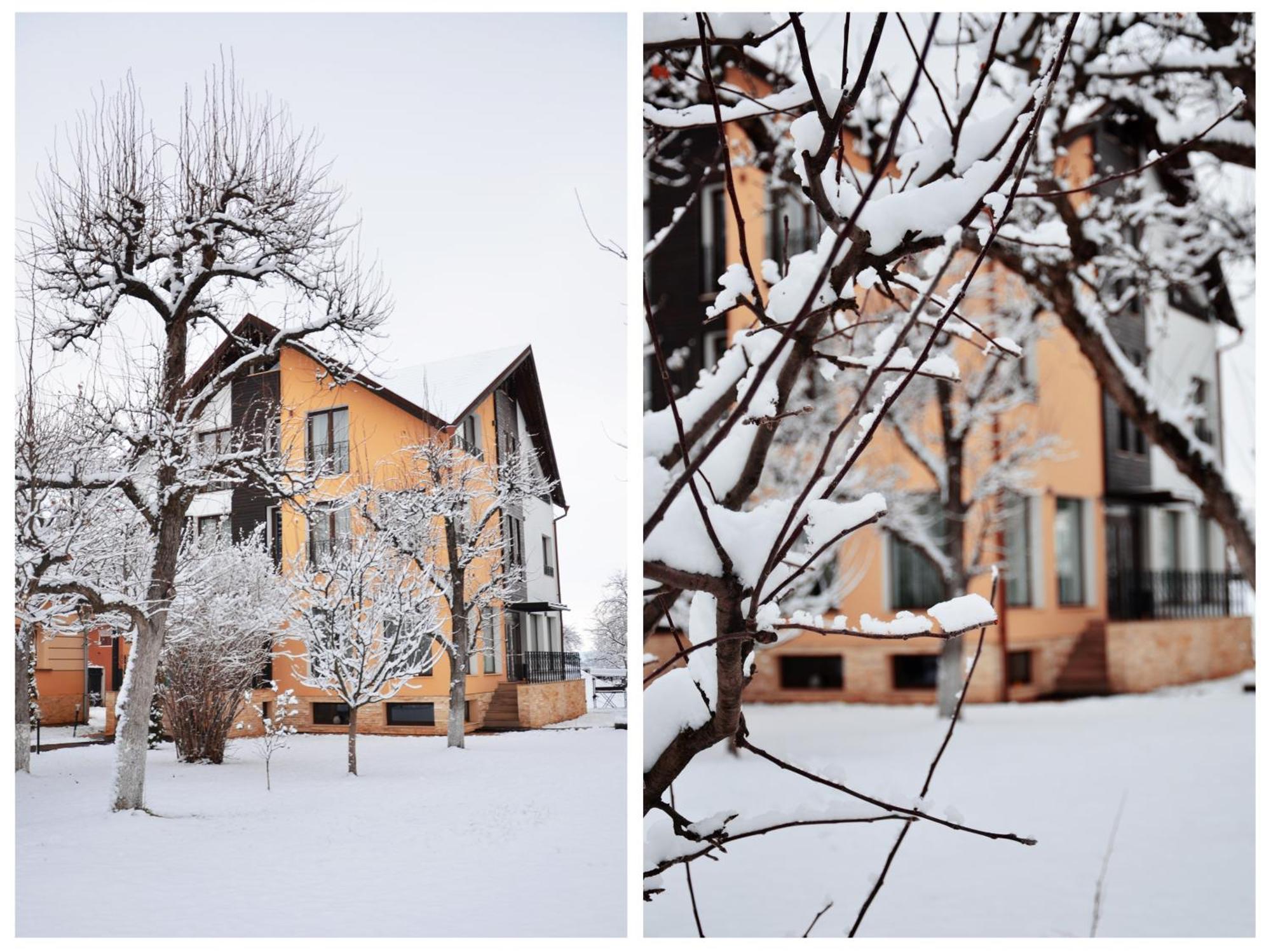 Stupina Otel Braşov Dış mekan fotoğraf